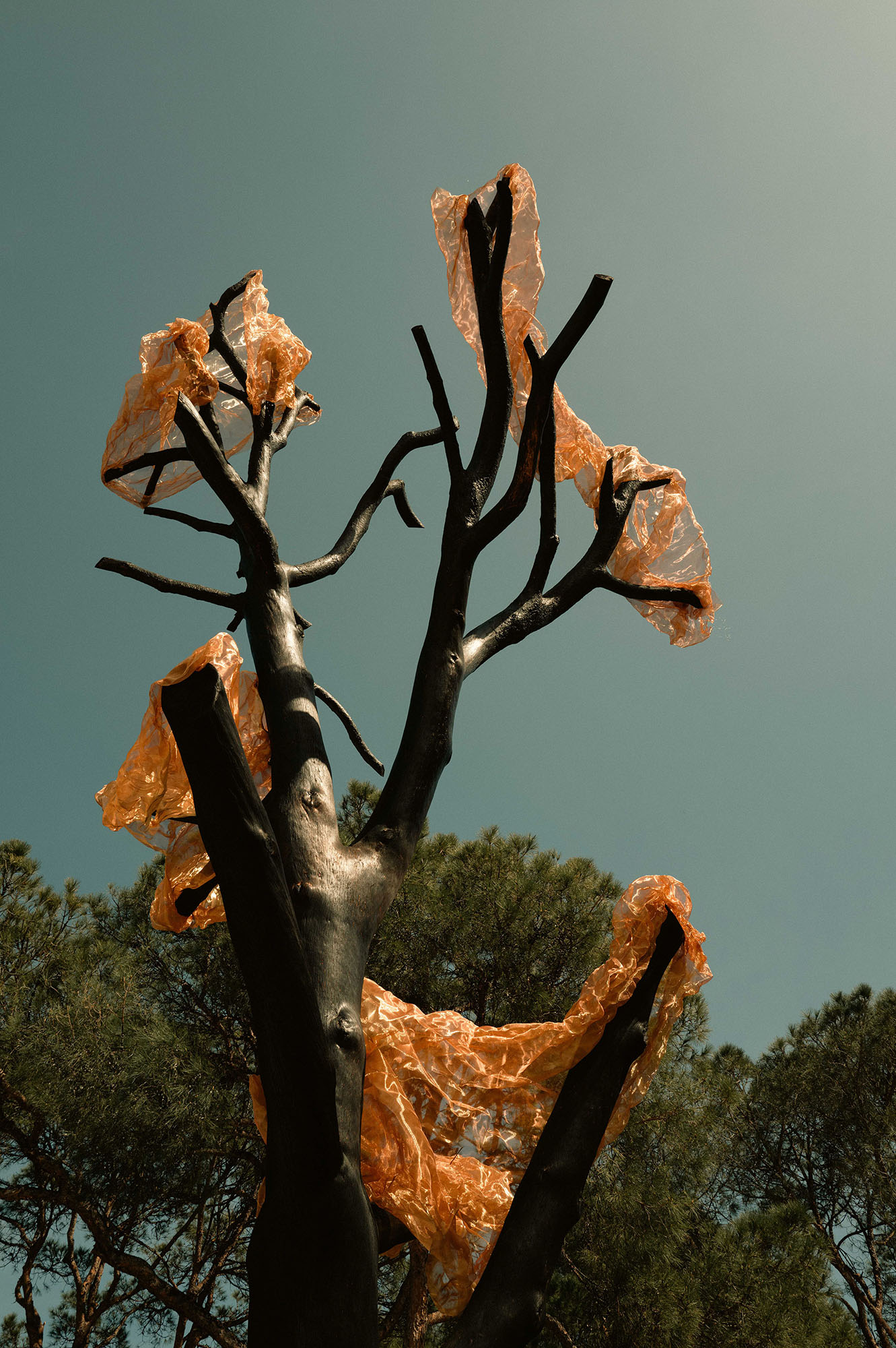 ΗΟ-ΜΑ-GE sculpture-art-image-left