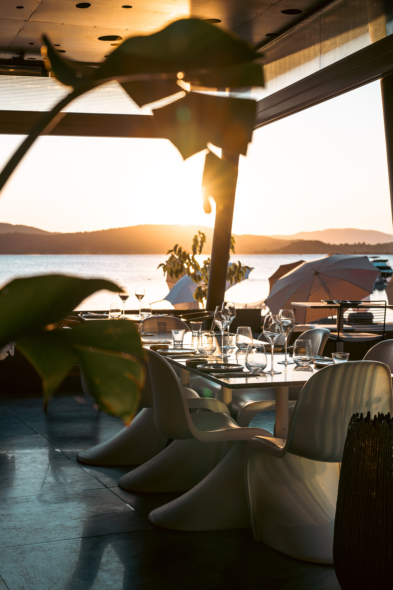 Bubo Restaurant-image-1