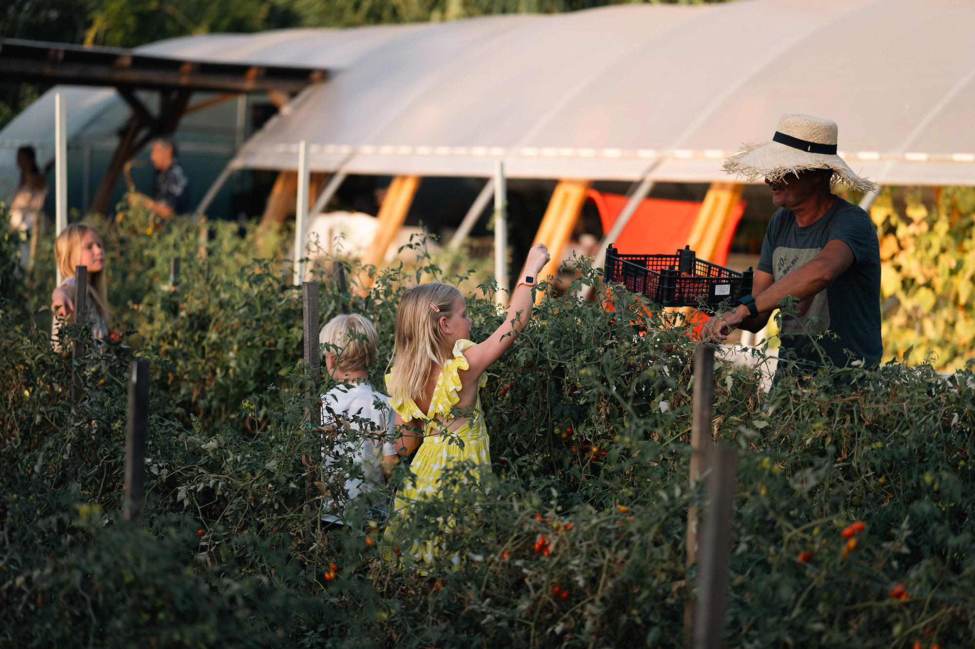 Laiki Agora, folk market-image-2