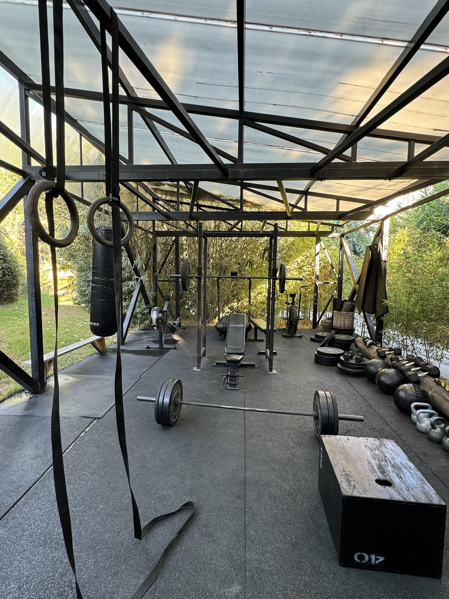 Gecko, Open-Air Gym-image-2