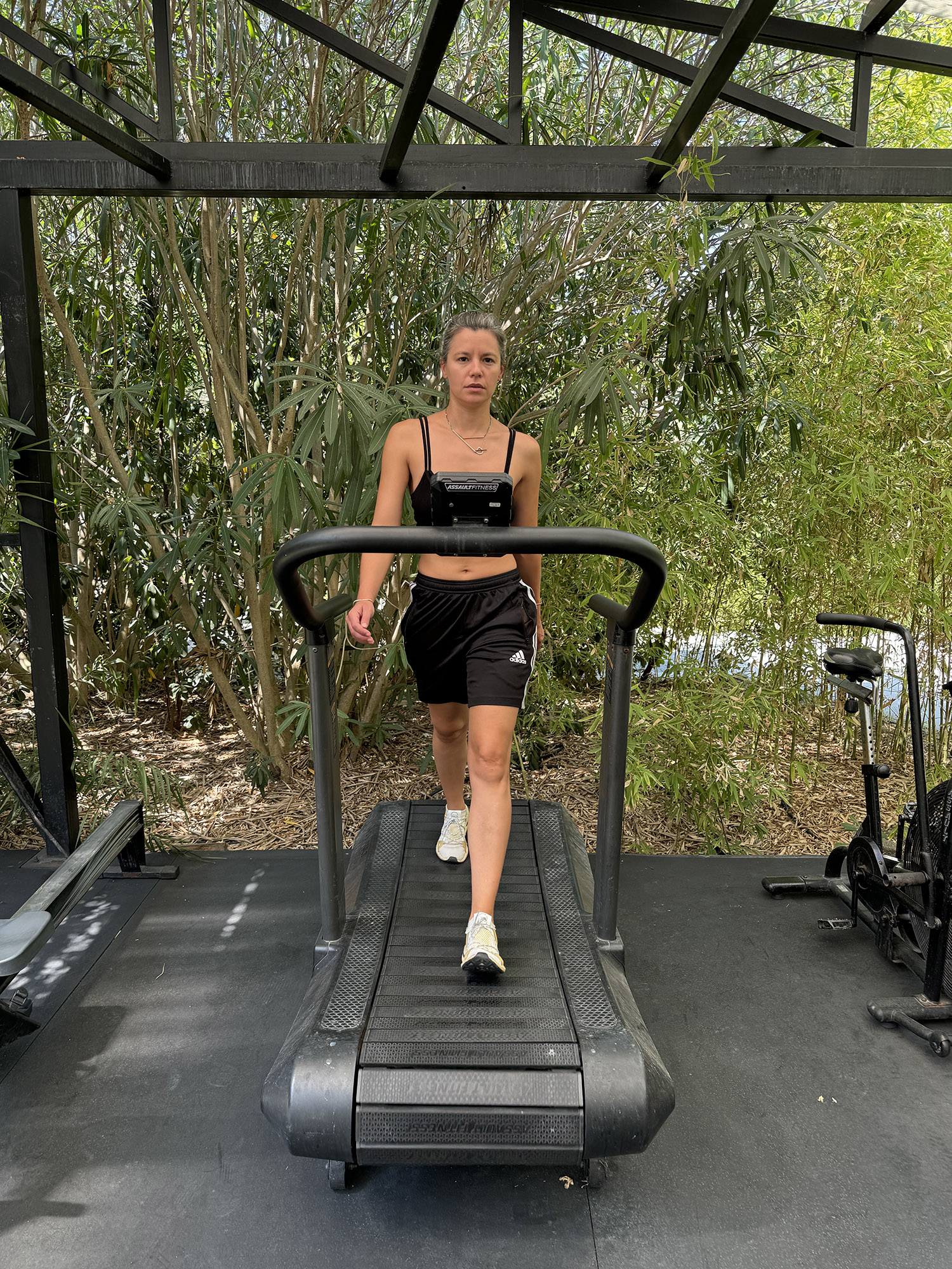 Gecko, Open-Air Gym-image-1